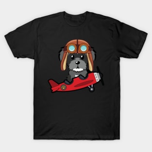 Cute schnauzer is in a vintage plane T-Shirt